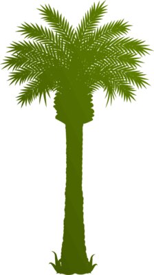 Palm tree 3