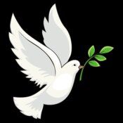 Peace white dove